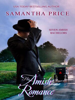 cover image of His Amish Romance